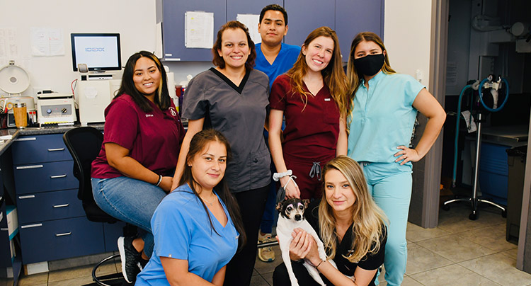Court Square Animal Hospital & 24hr Emergency Veterinary Center | Our Staff
